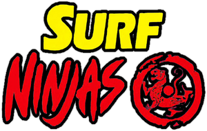 Surf Ninjas's poster