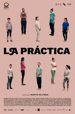 The Practice's poster