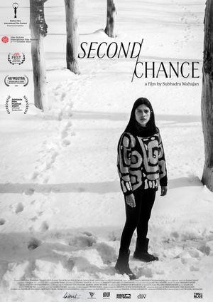 Second Chance's poster