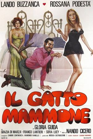 Il gatto mammone's poster