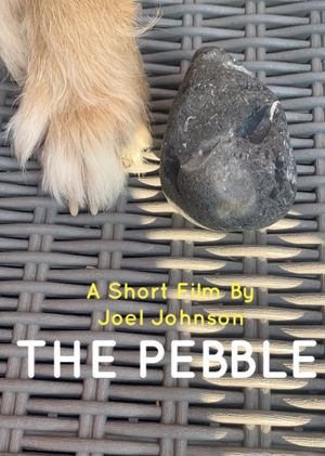 The Pebble's poster