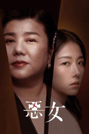 Lost in Perfection's poster