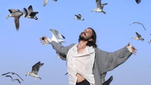 The Lord of the Seagull's poster