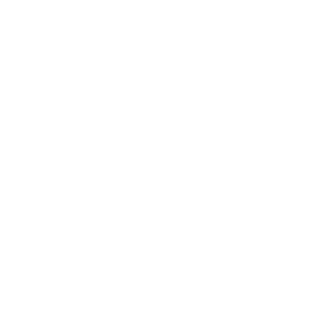 Battle Royale's poster