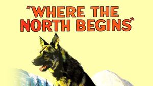 Where the North Begins's poster