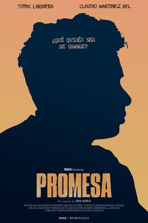 Promise's poster image