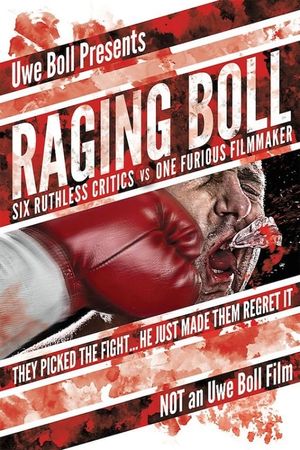Raging Boll's poster