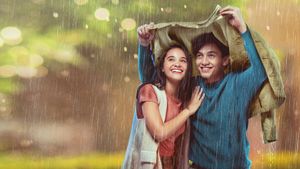 Love like the Falling Rain's poster