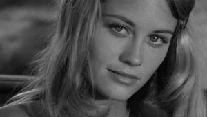 The Last Picture Show's poster