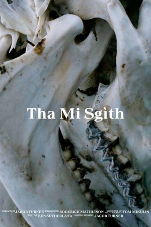 Tha Mi Sgìth's poster