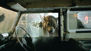 Dog Soldiers's poster