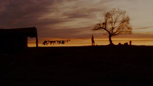 Unforgiven's poster