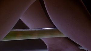 Inseminoid's poster