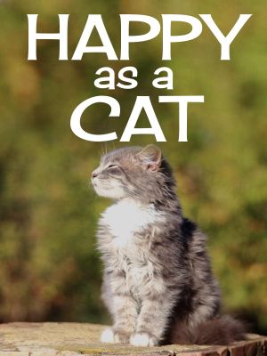 Happy as a Cat's poster
