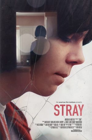 Stray's poster