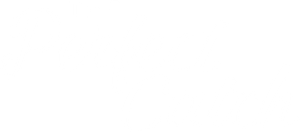 The Perfect Catch's poster