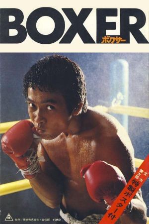The Boxer's poster