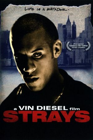 Strays's poster