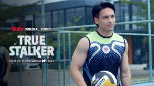 True Stalker's poster