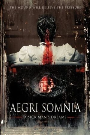Aegri Somnia's poster