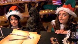 Santa Stole Our Dog: A Merry Doggone Christmas!'s poster