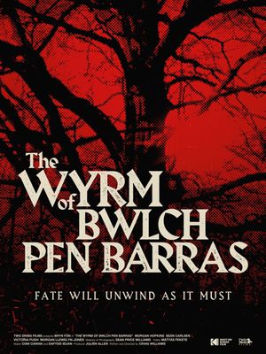 The Wyrm of Bwlch Pen Barras's poster