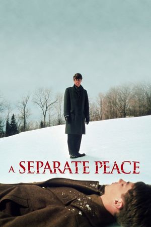 A Separate Peace's poster