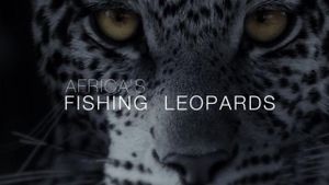 Africa's Fishing Leopards's poster