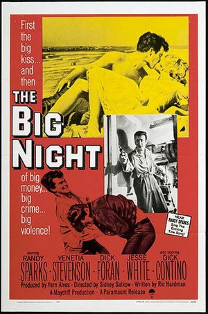 The Big Night's poster