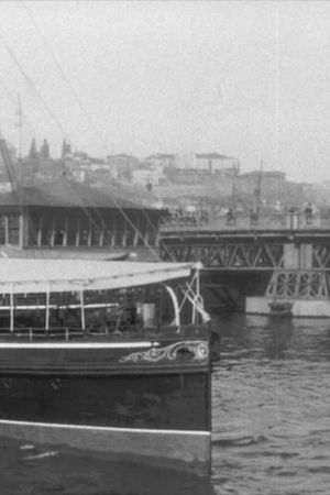 Constantinople, panorama de la corne d'or's poster
