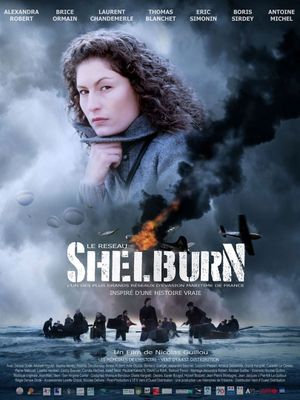 Le réseau Shelburn's poster