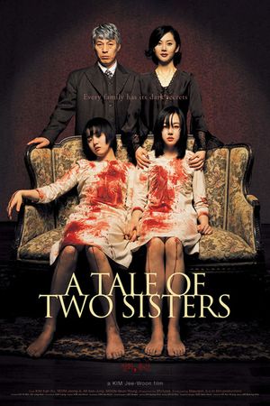 A Tale of Two Sisters's poster