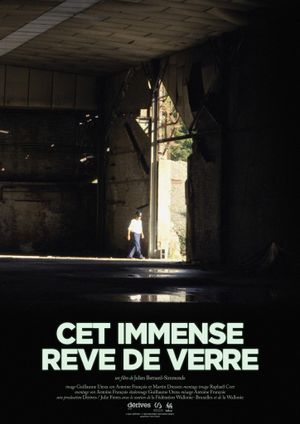 Cet immense rêve de verre's poster