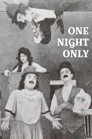 One Night Only's poster