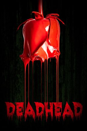 Deadhead's poster image