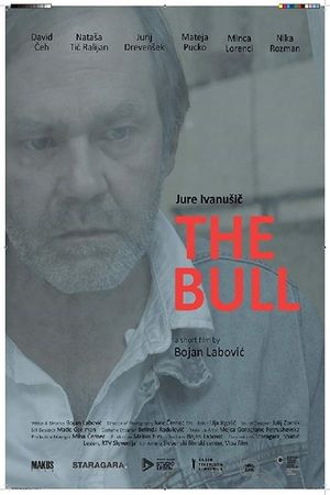 The Bull's poster