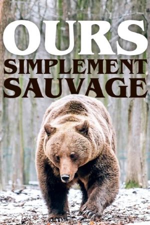 Ours, simplement sauvage's poster
