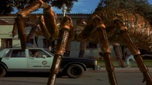 Spiders's poster