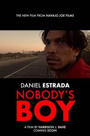 Nobody's Boy's poster