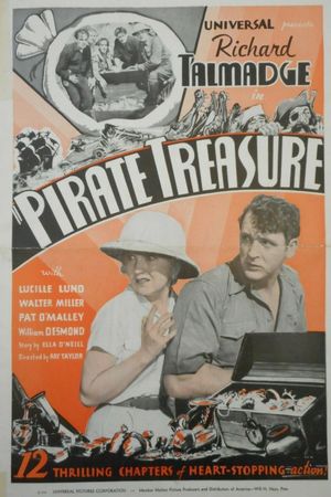 Pirate Treasure's poster