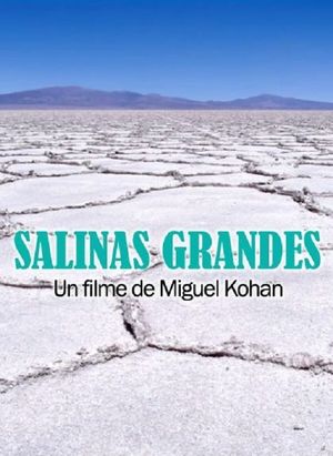 Salinas grandes's poster