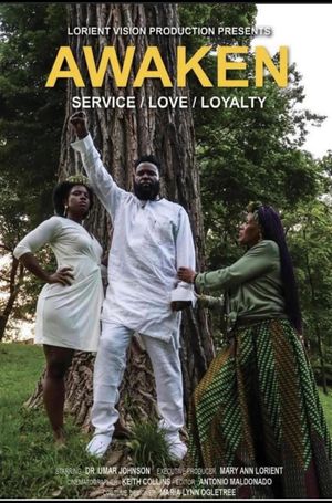 Awaken's poster
