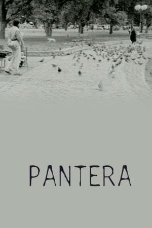 Pantera's poster