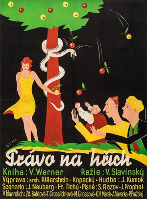 Právo na hrích's poster