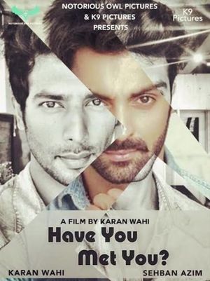 Have You Met You's poster