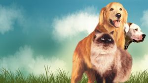 Homeward Bound: The Incredible Journey's poster