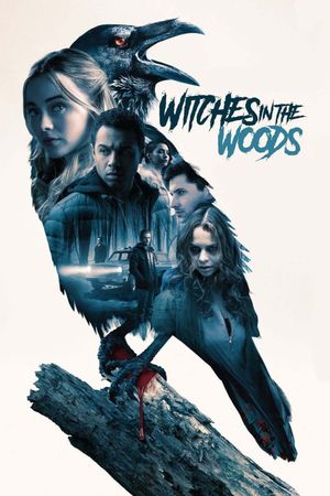 Witches in the Woods's poster