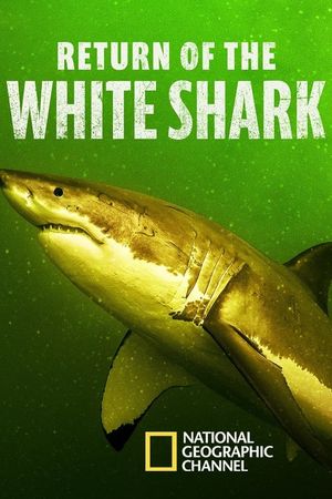 Return of the White Shark's poster