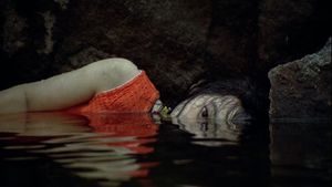 Sympathy for Mr. Vengeance's poster