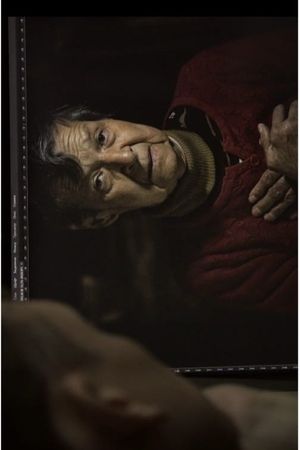 The Shadows's poster